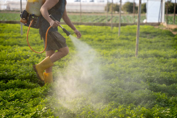 Best Exterminator Services  in Garden City, MO