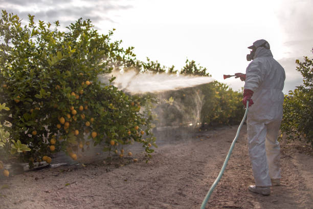 Garden City, MO Pest Control Company
