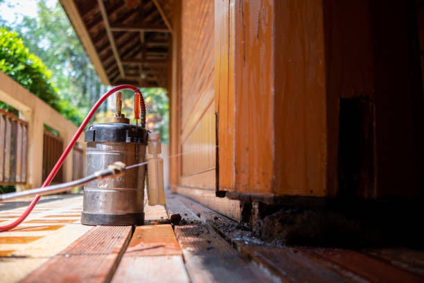 Best Best Pest Control Companies  in Garden City, MO